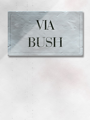 rpiga_ciaobush2 (23K)